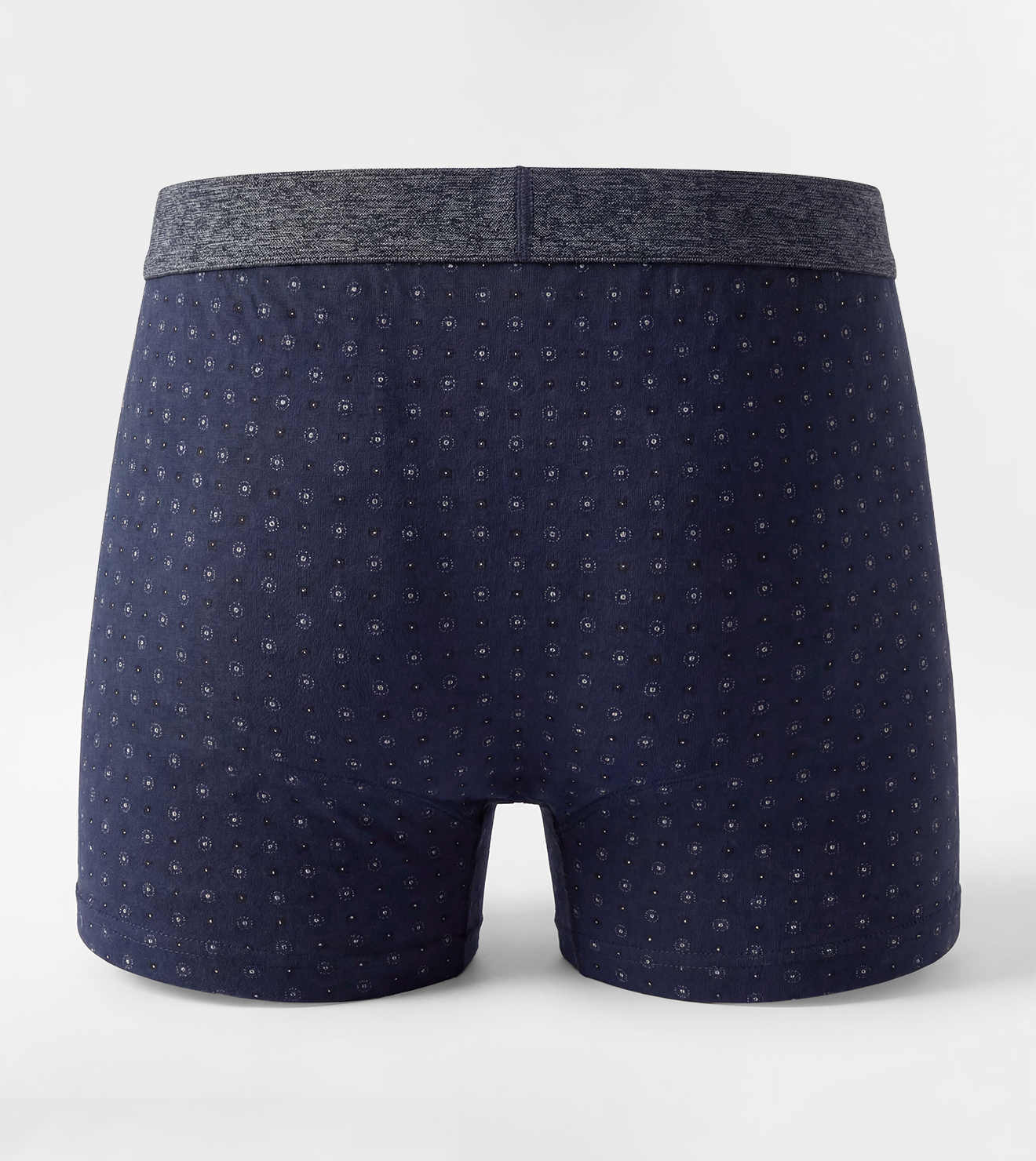 Men Printed Trunk Boxer