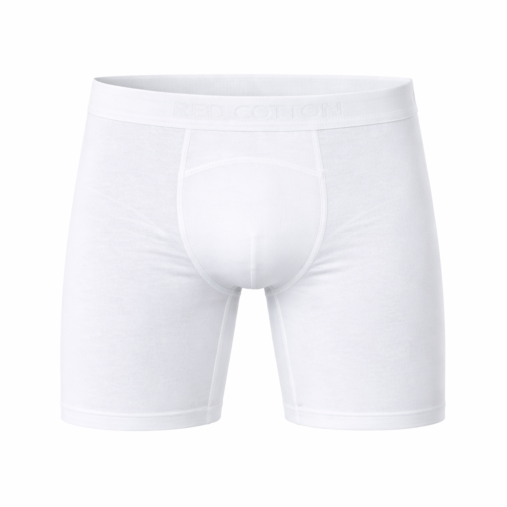 Men Prolong Boxer Briefs
