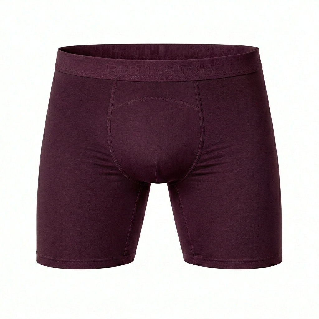 Men Prolong Boxer Briefs