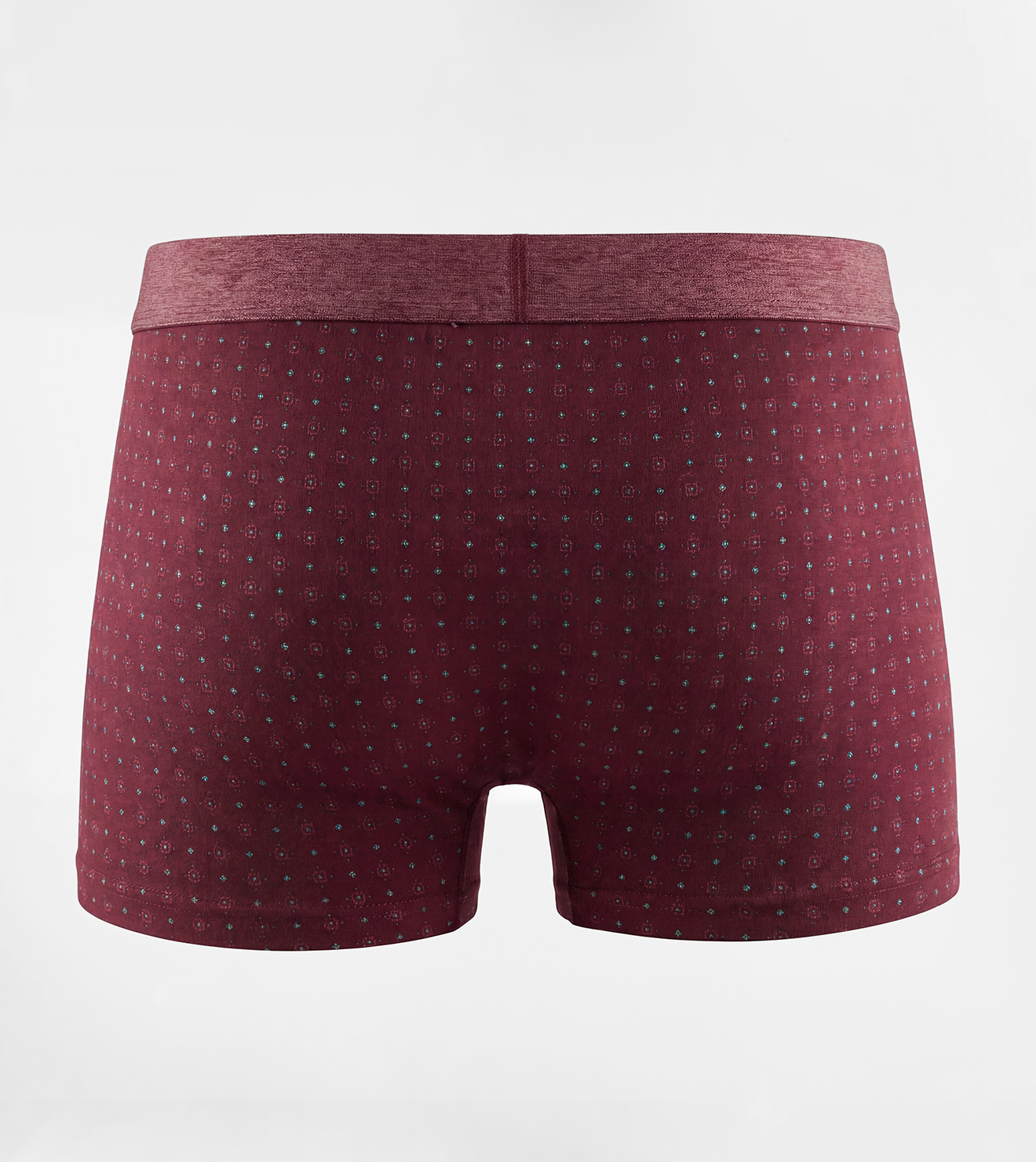 Men Printed Trunk Boxer